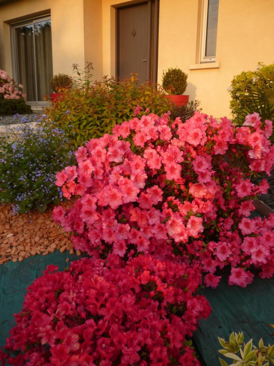 Chez Bernard Et Nicole Bed & Breakfast Betton Exterior foto